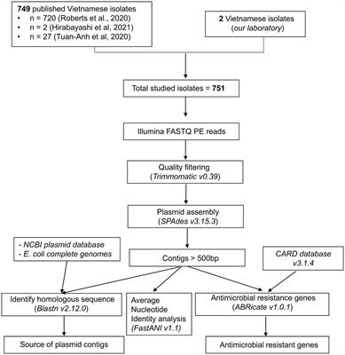 Large-scale analysis of putative plasmids in clinical multidrug-resistant Escherichia coli isolates from Vietnamese patients